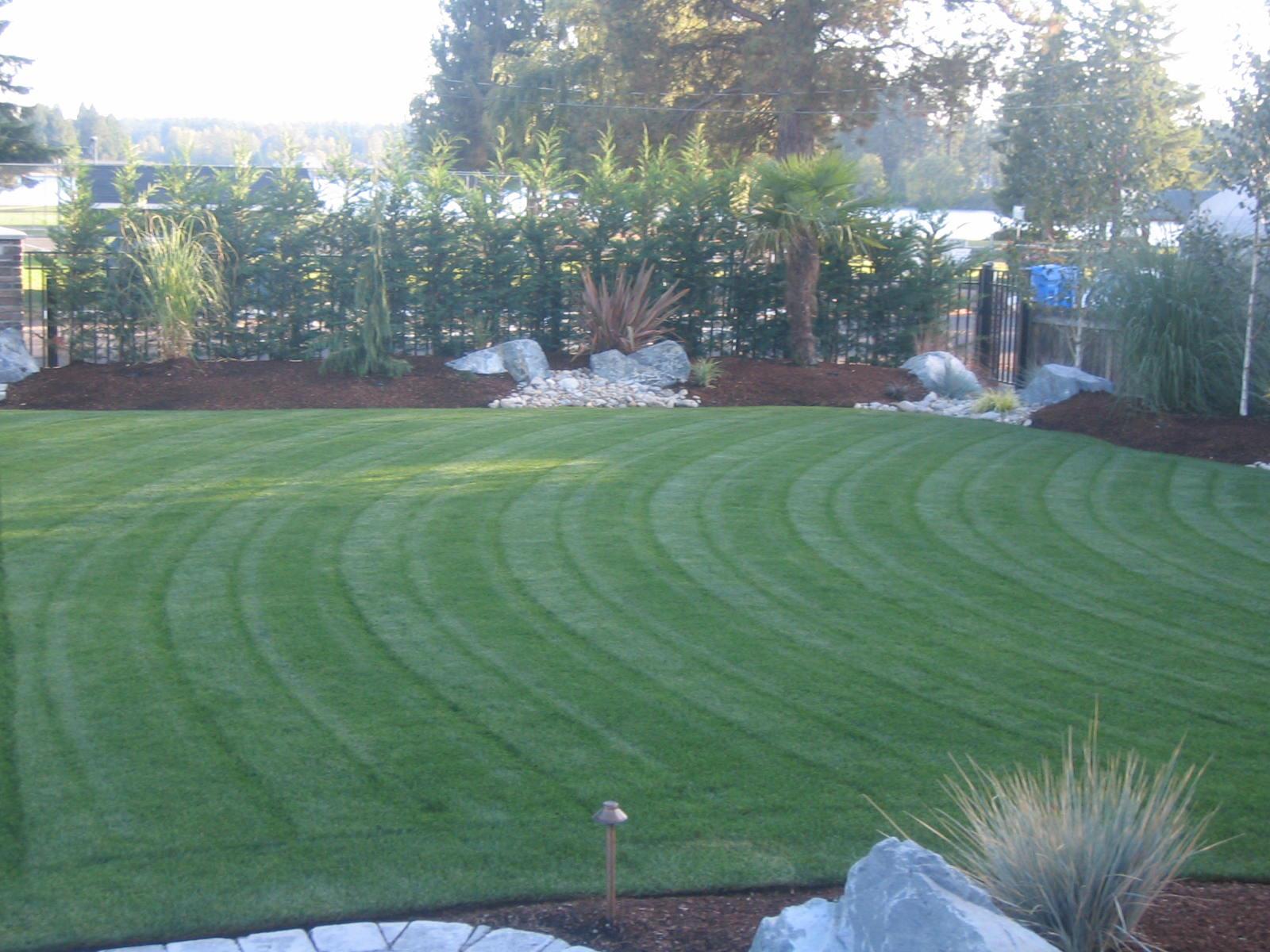 Archterra Landscape turf6.jpg YOUR